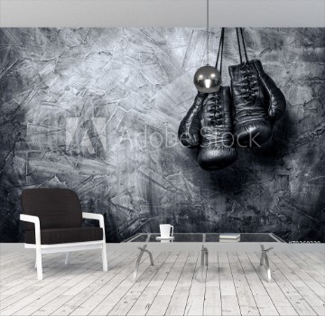 Picture of Old boxing gloves